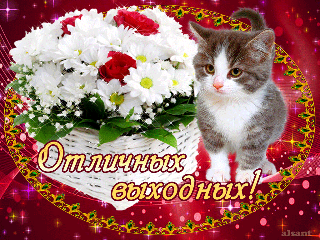 Открытка Открытки хороших выходных - Открытка с котенком и цветами | Красивая открытка #25