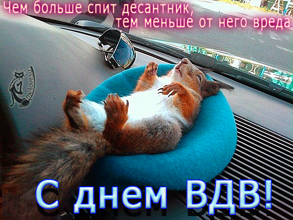 Открытка Открытки с днем ВДВ - Белка в спецназе: Открытка с Днем ВДВ! | Красивая открытка #71