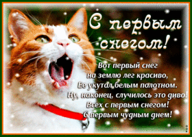 Открытка С первым снегом - Открытка с рыжим котом: поздравления с праздником | Красивая открытка #56