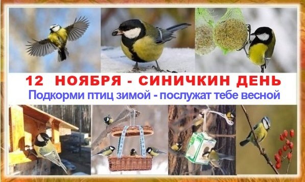 Открытка Открытки на Синичкин день - Снегирь и синичка: открытка с птичками на зиму | Красивая открытка #16