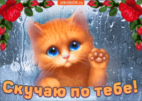 Открытка Я скучаю  - Открытка с котенком: Скучаю по тебе! | Красивая открытка #53