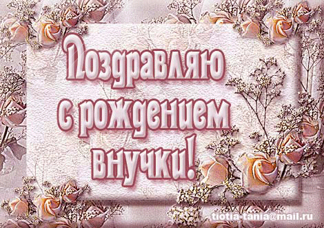 Открытка С Днем рождения внучки - Открытка с цветами: розы и гипсофила | Красивая открытка #19