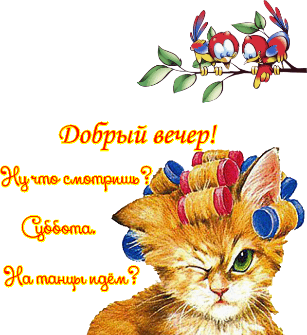Открытка Открытки на субботу - Открытка с котиком и птичками. | Красивая открытка #7