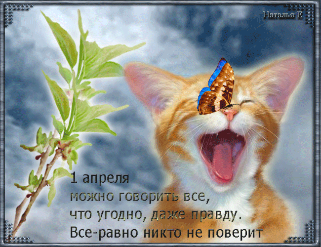 Открытка День смеха - Открытка с котом и бабочкой на ветке | Красивая открытка #32