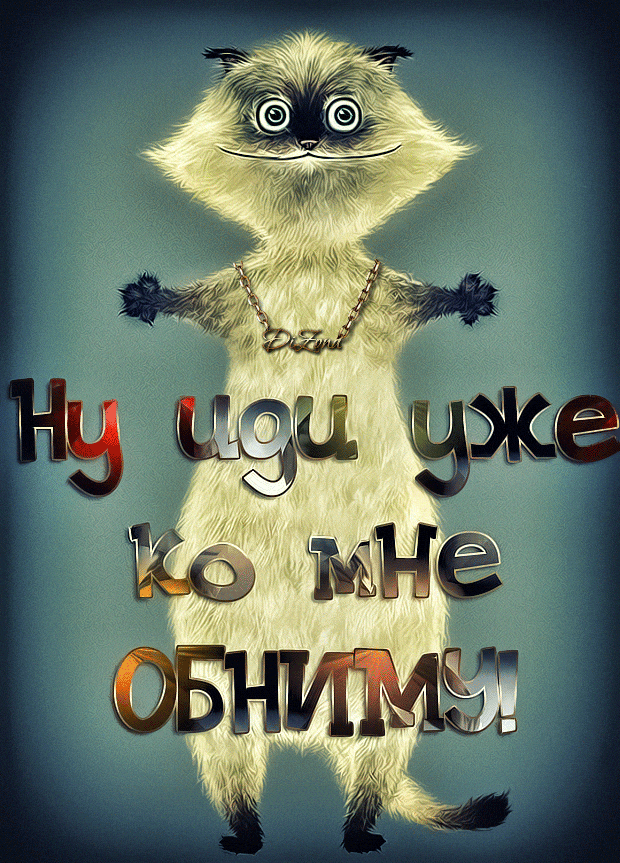 Открытка Обнимаю - Забавный кот в цепи  открытка с котярой | Красивая открытка #146