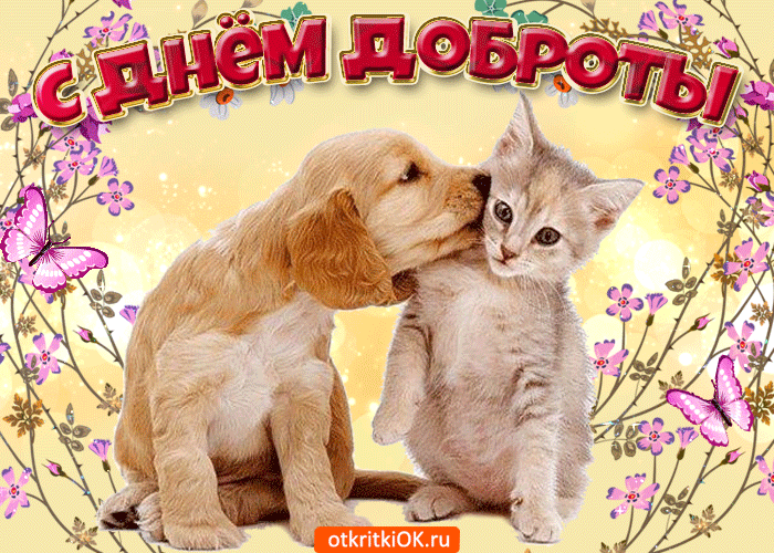 Открытка День доброты - Открытка с щенком и котенком — С Днем Рождения! | Красивая открытка #27