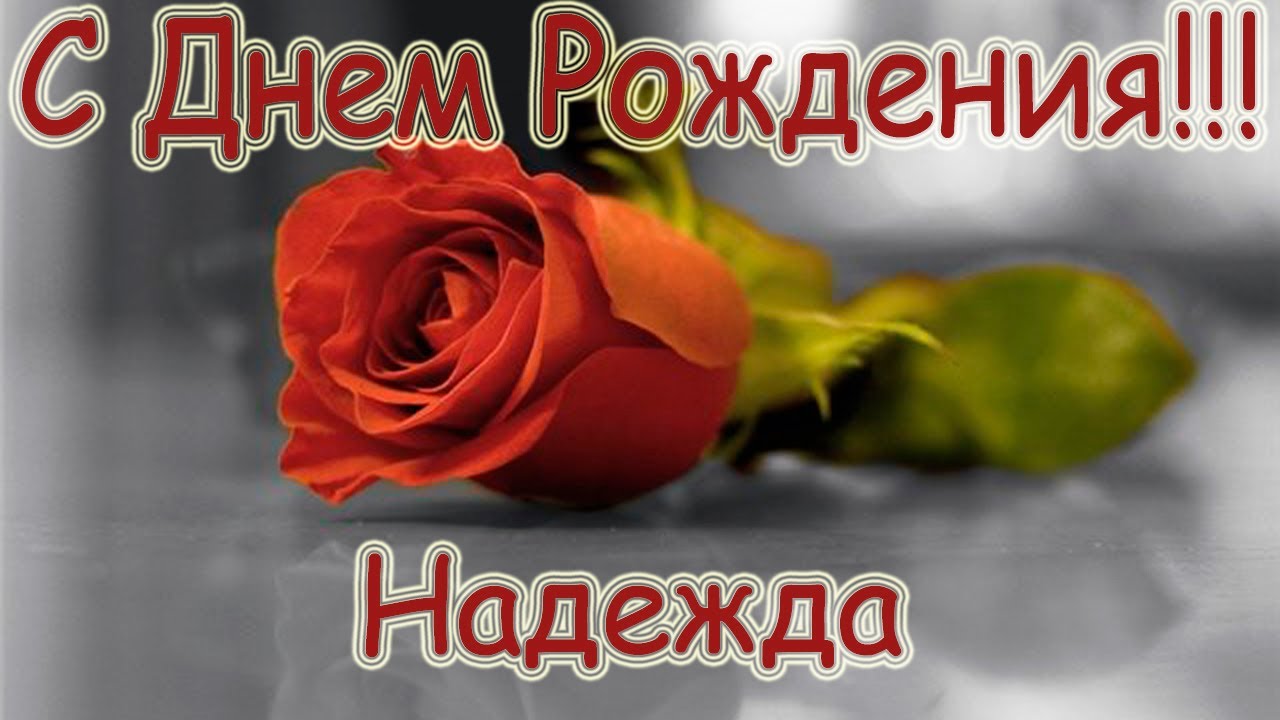 Открытка открытки с именем Надежда  - Красная роза на сером фоне | Красивая открытка #23