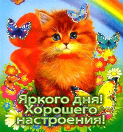 Открытка Открытки хорошего настроения - Яркая открытка с рыжим котенком и цветами | Красивая открытка #66