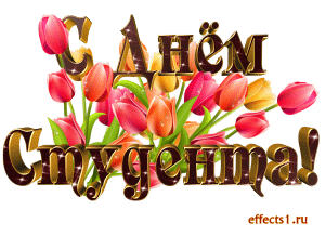 Открытка Открытки с днем студента - Открытка с яркими красными и желтыми тюльпанами | Красивая открытка #116