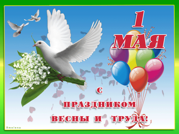 Открытка открытки на 1 мая - Поздравления с 1 мая: цветы, голуби и шарики | Красивая открытка #58