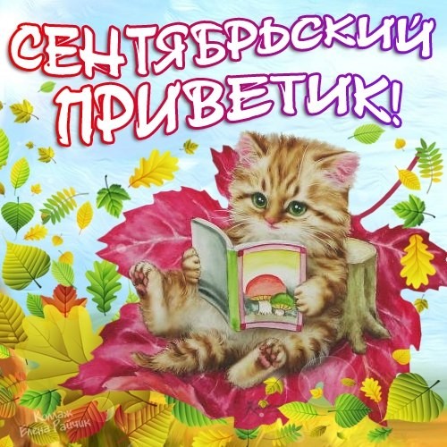 Открытка Сентябрь - Открытка с котенком: милые поздравления с праздником | Красивая открытка #6