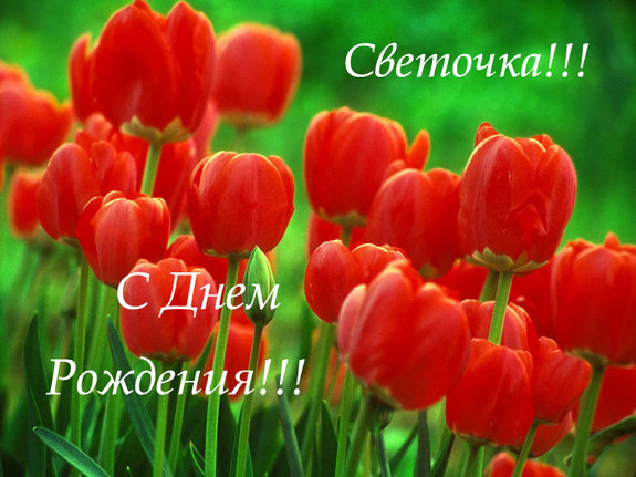 Открытка открытки с именем Света  - Открытка с красными тюльпанами | Красивая открытка #11