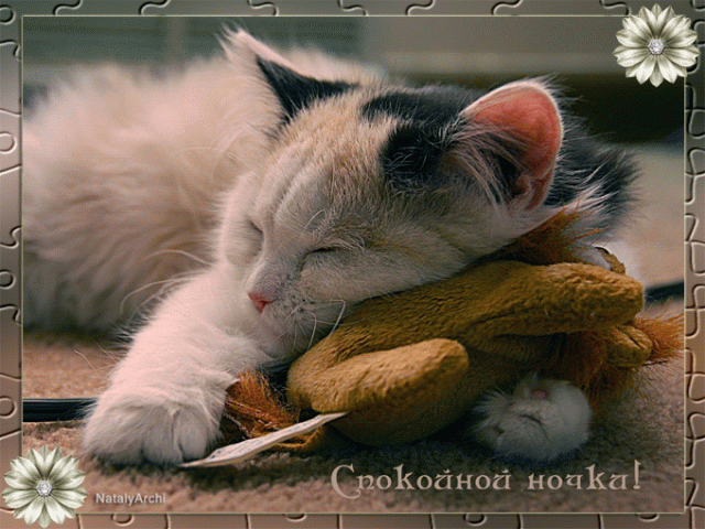 Открытка Открытки с пожеланиями на ночь - Открытка: Спящий кот с игрушкой. Поздравительная открытка | Красивая открытка #32