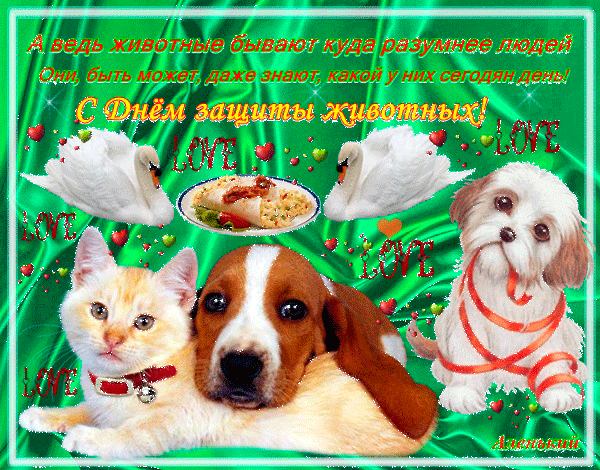 Открытка День защиты животных - Открытка с котенком и щенком в колпачках | Красивая открытка #6