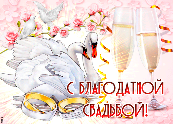 Открытка 70 лет - благодатная свадьба - Свадебная открытка: лебеди, кольца и шампанское | Красивая открытка #5