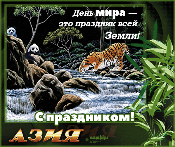 Открытка Открытки с днем мира - Открытка с тигром в джунглях  праздник для души | Красивая открытка #11