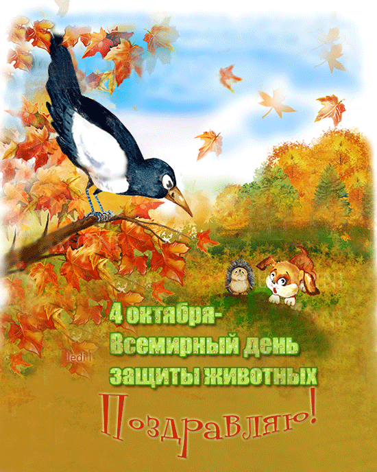 Открытка День защиты животных - Открытка с птицей, ежиком, лисой и осенними листьями | Красивая открытка #3