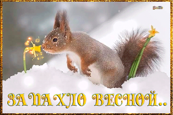 Открытка Открытки весенняя пора - Белка с подснежниками на снегу - открытка | Красивая открытка #63