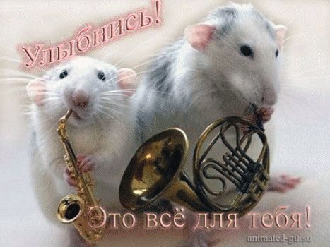 Открытка Открытки улыбнись - Открытка с мышками и музыкальными инструментами | Красивая открытка #3