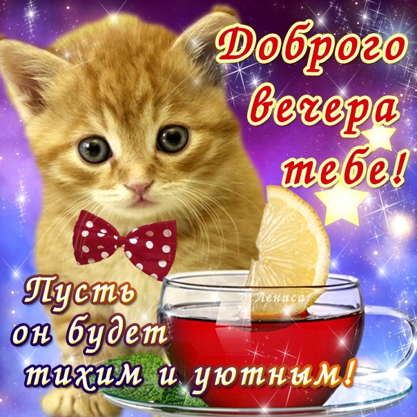 Открытка открытки с пожеланиями доброго вечера  - Открытка с красным котом и чаем | Красивая открытка #7
