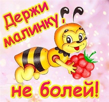 Открытка открытки с пожеланиями здоровья  - Пчелка с малиной: яркая открытка с днем рождения | Красивая открытка #1