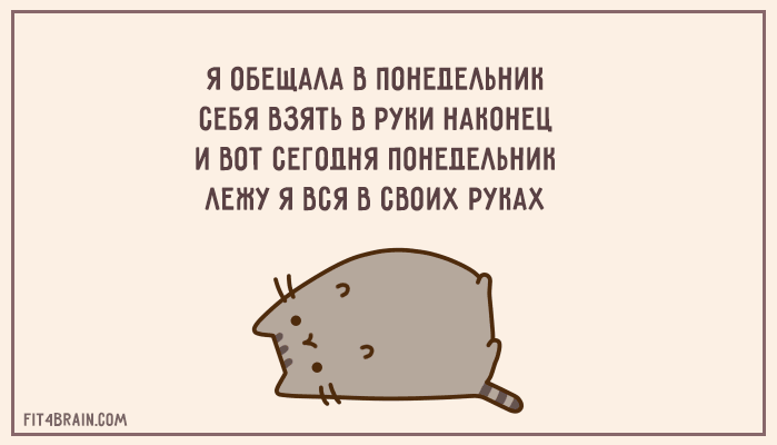 Открытка Открытки на понедельник - Котик-обнимашка: открытка с милым котиком | Красивая открытка #179