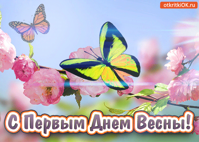 Открытка  С первым днем весны - Весенние открытки с цветами и бабочками - Поздравления | Красивая открытка #76