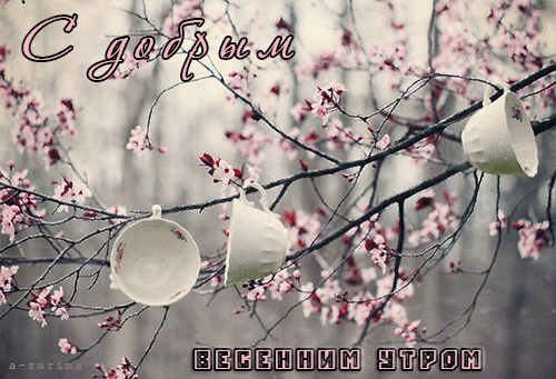 Открытка Доброе утро - Весенние открытки: цветущая вишня и чашки | Красивая открытка #446