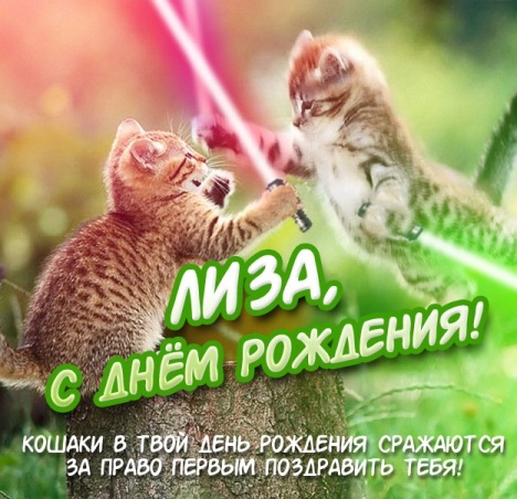 Открытка открытки с именем Елизавета  - С Днём Рождения! Котики-джедаи с лайтсеберами | Красивая открытка #10