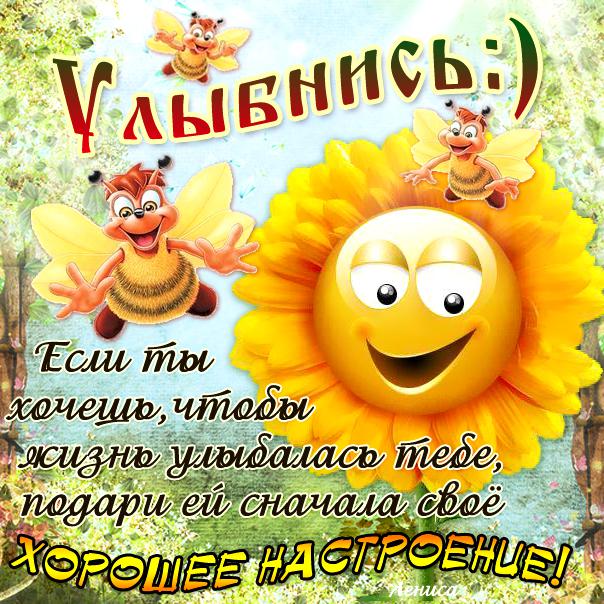 Открытка открытки с пожеланиями хорошего настроения  - Открытка с пчелкой и подсолнухом. | Красивая открытка #10