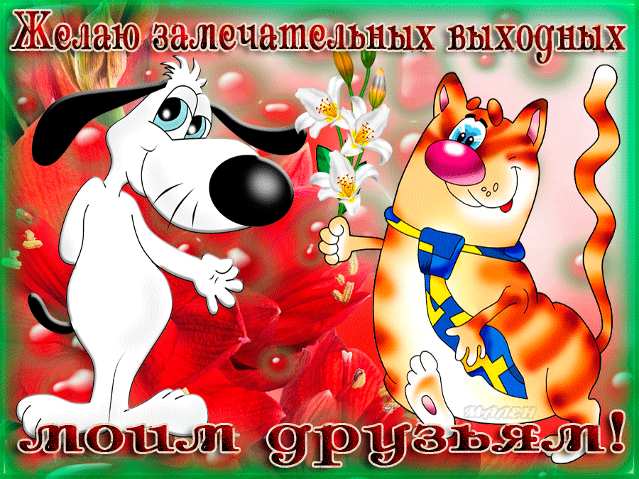 Открытка Открытки хороших выходных - Открытка с собаками и лилиями | Красивая открытка #57