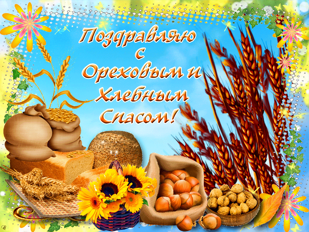 Открытка Ореховый спас. - Открытка с пшеницей, подсолнухом и орехами | Красивая открытка #96