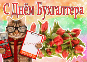 Открытка Открытки с днем бухгалтера - Котик-бухгалтер с открыткой: смешные поздравления | Красивая открытка #61