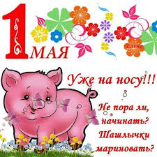Открытка открытки с приколами на 1 мая - Открытка с поросенком на фоне цветов. | Красивая открытка #25
