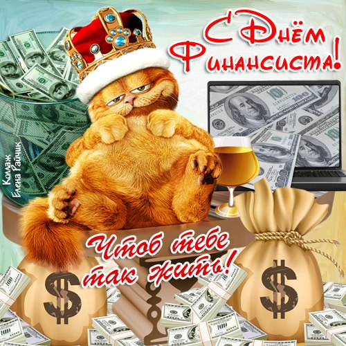 Открытка Открытки с днем финансиста  - Кошка с долларами: Открытка с юмором | Красивая открытка #43