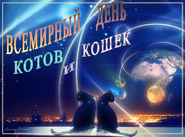 Открытка Открытки с днем кошек - Открытка с котами в космосе | Красивая открытка #12