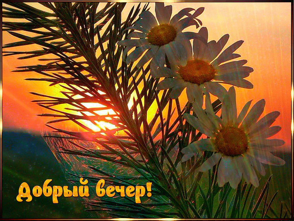 Открытка Добрый летний вечер - Добрый вечер | Красивая открытка #25