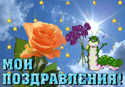 Открытка Поздравляю! - Открытка: Роза, фиалки, жучок. Поздравления! | Красивая открытка #13