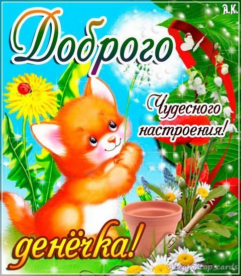 Открытка добрый день - Открытка с котенком и цветами | Красивая открытка #60
