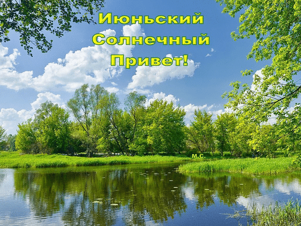 Открытка Июньский - Пейзаж с озером и зеленью: открытка с природой | Красивая открытка #6