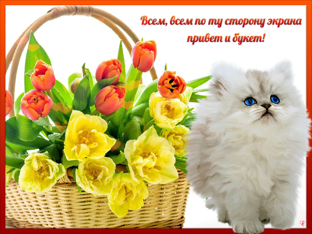 Открытка Привет - Плетёная корзина с тюльпанами и котенок | Красивая открытка #215