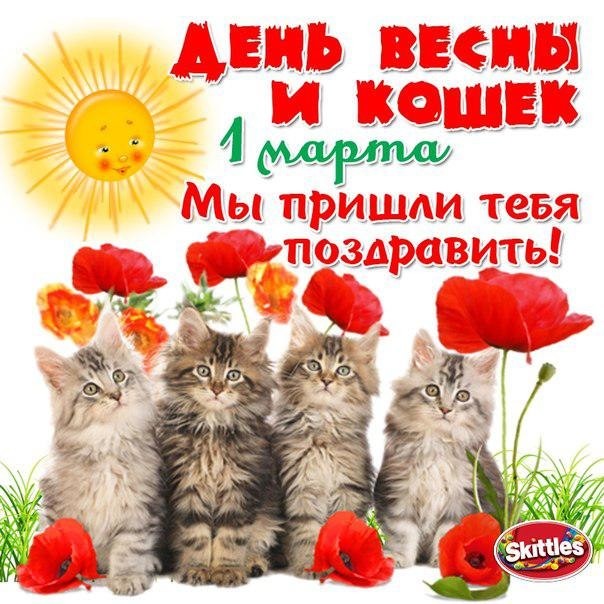 Открытка С Всемирным днём кошек - Открытка с котятами и маками: С Днем Весны! | Красивая открытка #6