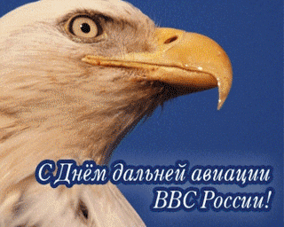 Открытка Открытки на День дальней авиации ВВС Российской Федерации - Открытка с орлом: С Днём авиации! | Красивая открытка #29