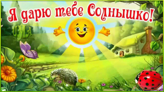 Открытка Открытки с солнышком - Открытка: солнце, ёжик, божья коровка, цветы | Красивая открытка #31
