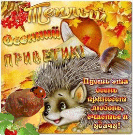 Открытка Привет - Открытка с ежиком на фоне осенних листьев | Красивая открытка #231