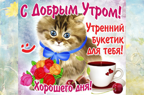 Открытка открытки с добрым утром - Открытка с котенком и цветами | Красивая открытка #139