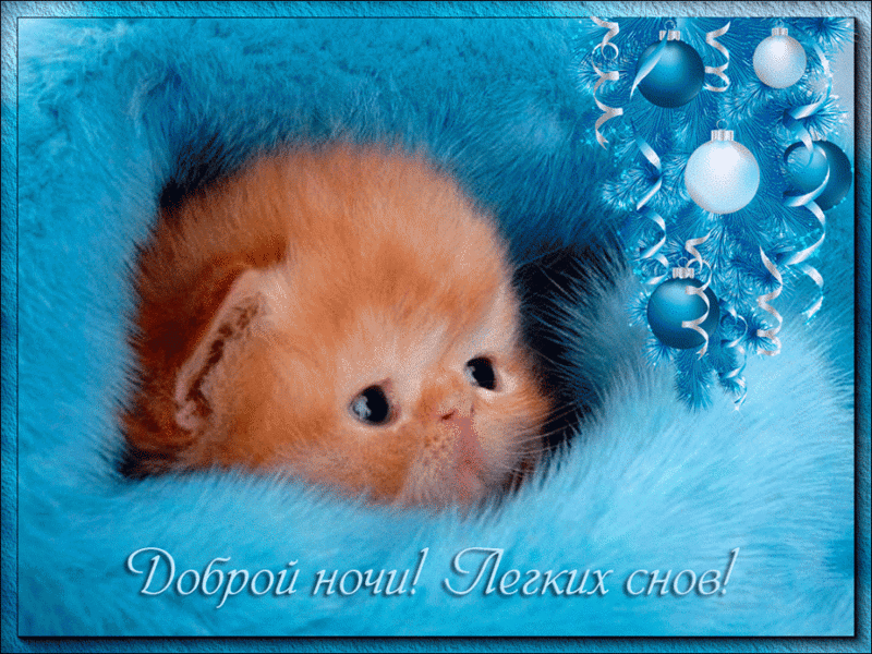 Открытка Открытки с пожеланиями на ночь - Открытка с котенком и синими шарами. | Красивая открытка #121