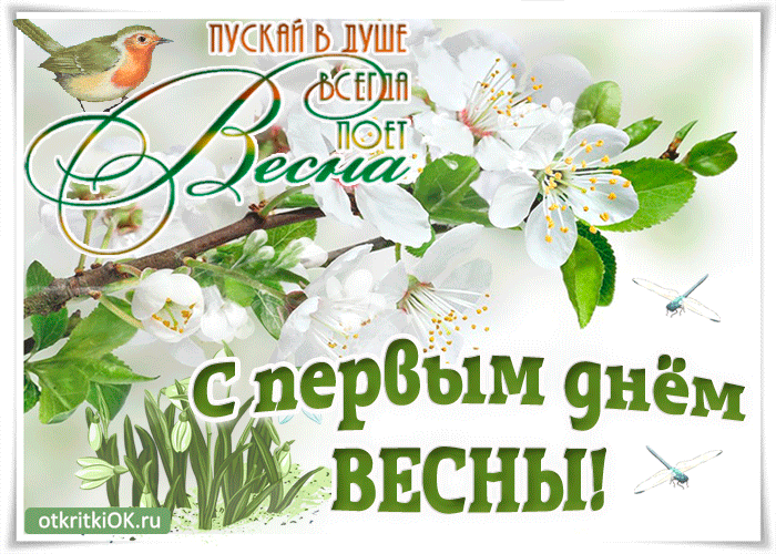 Открытка С первым днём весны - Открытка «С первым днём весны»: цветы, птичка, весеннее настроение | Красивая открытка #2