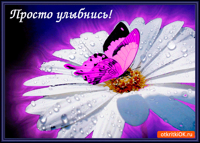 Открытка Улыбнись - Открытка с фиалкой и бабочкой | Красивая открытка #326
