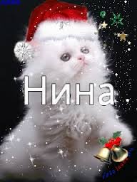 Открытка открытки с именем Нина  - Новогодняя открытка с котенком в шапке | Красивая открытка #27